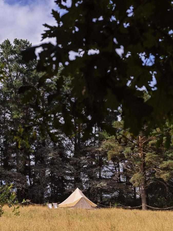 A Leira 116 Cabanas De Diseno Sarria Dış mekan fotoğraf